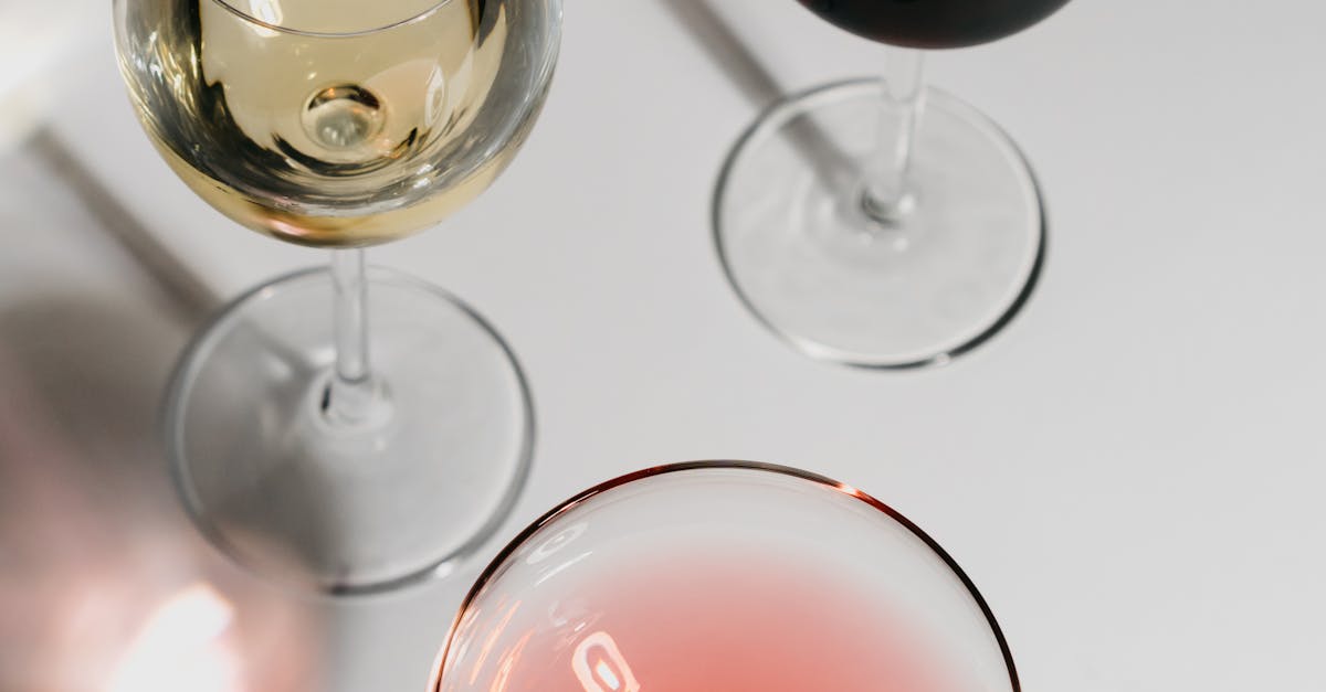 Balancing Brightness and Intimacy in Sydney's Cocktail Bars