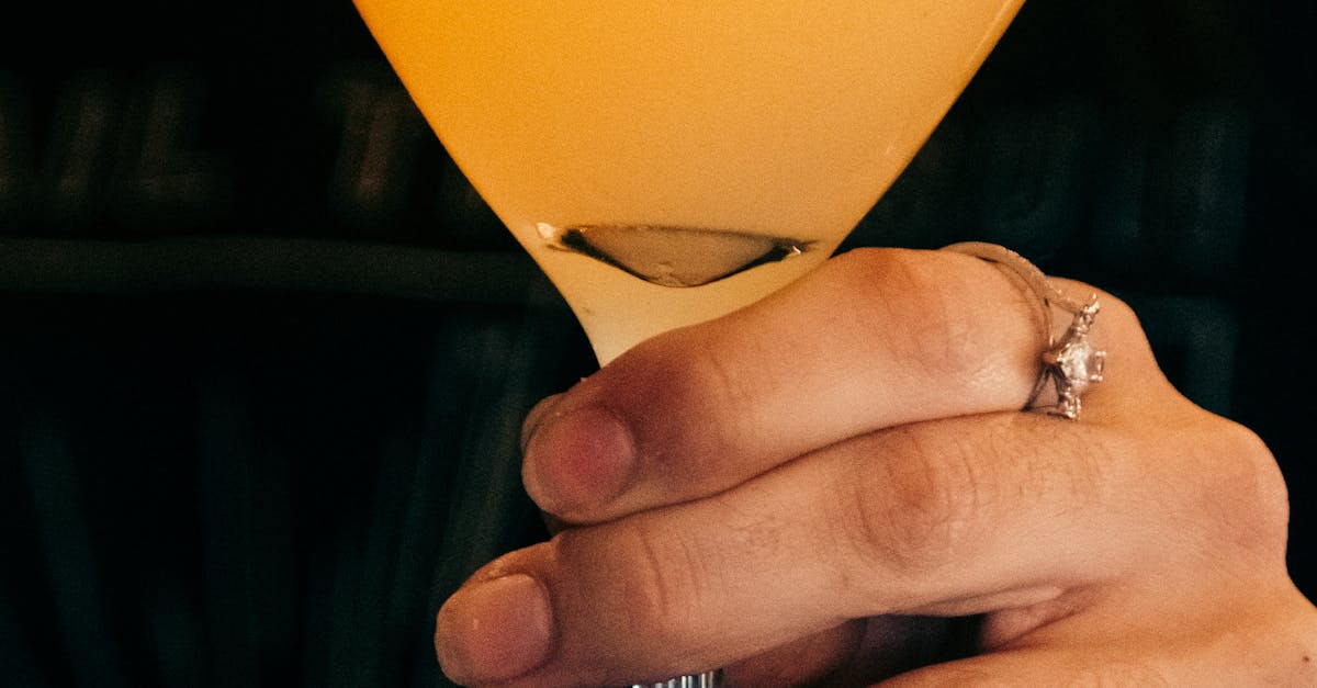 Exploring the Science of Garnish Aesthetics