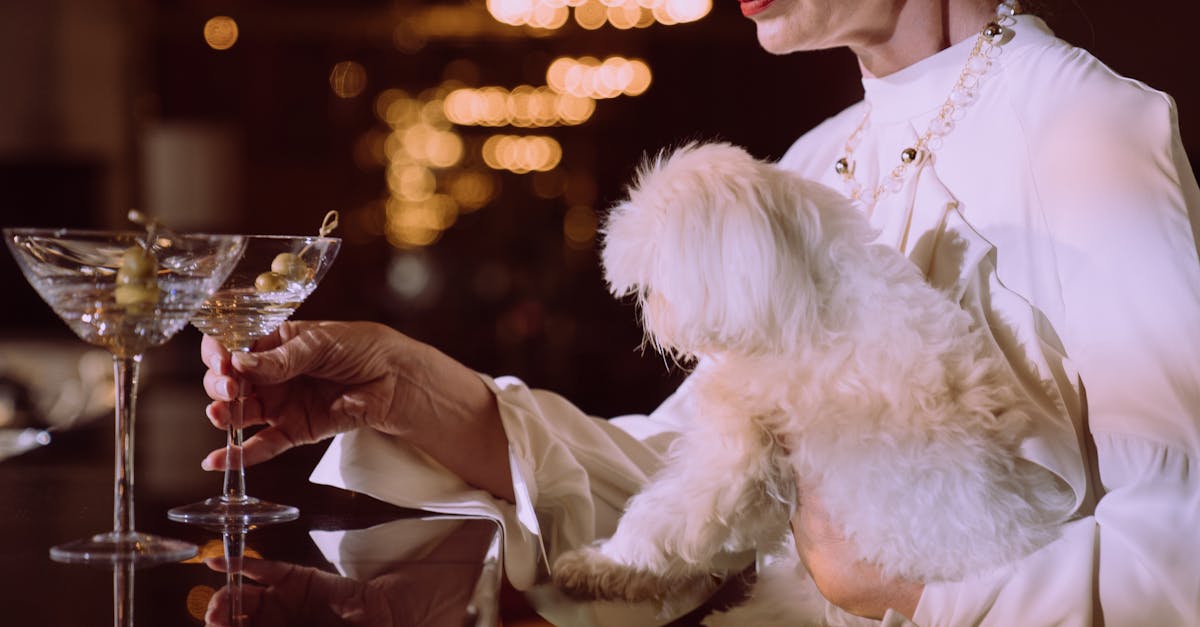 How Ambient Soundscapes Enhance the Cocktail Experience