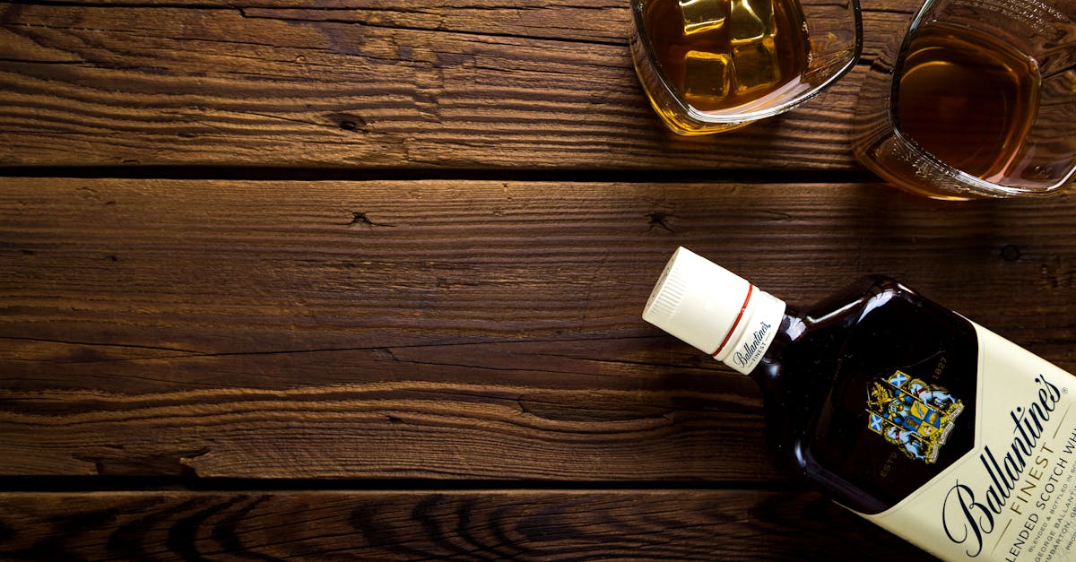 Integrating Nature: Biophilic Design in Cocktail Bars