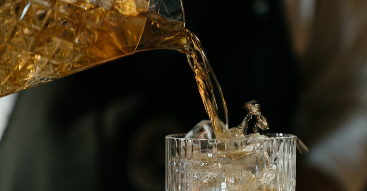 Popular Local Bands to Feature at Sydney Cocktail Venues